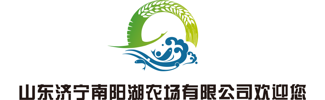 南阳湖农场广告设计
